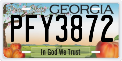 GA license plate PFY3872