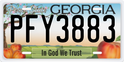 GA license plate PFY3883