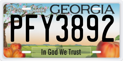 GA license plate PFY3892