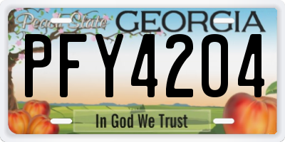 GA license plate PFY4204