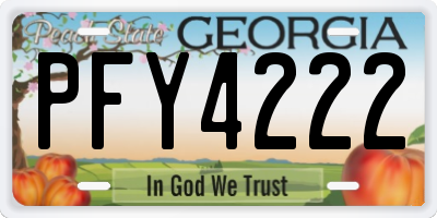 GA license plate PFY4222