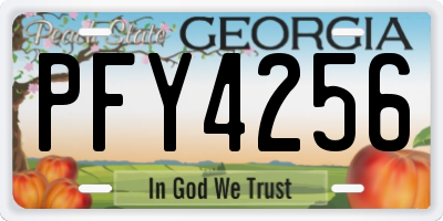 GA license plate PFY4256