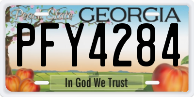 GA license plate PFY4284
