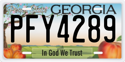 GA license plate PFY4289