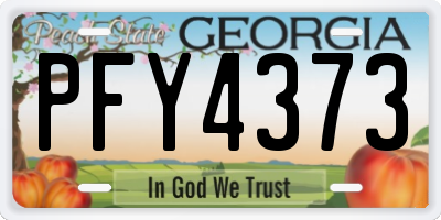 GA license plate PFY4373