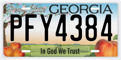 GA license plate PFY4384