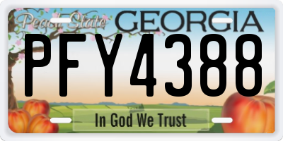GA license plate PFY4388