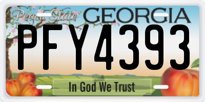 GA license plate PFY4393