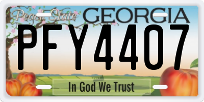 GA license plate PFY4407