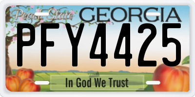 GA license plate PFY4425