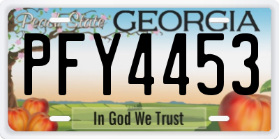 GA license plate PFY4453
