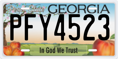 GA license plate PFY4523