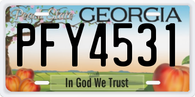 GA license plate PFY4531