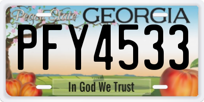 GA license plate PFY4533