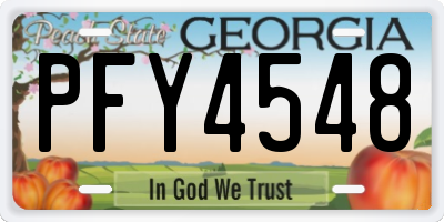 GA license plate PFY4548