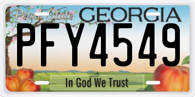 GA license plate PFY4549
