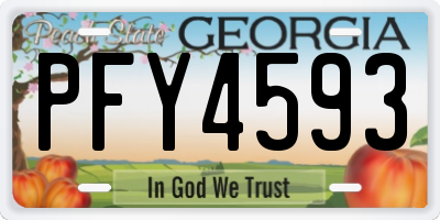 GA license plate PFY4593