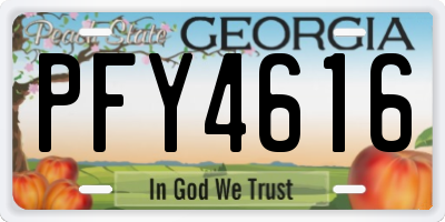 GA license plate PFY4616