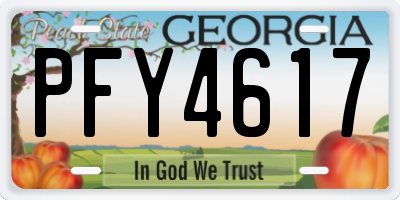 GA license plate PFY4617