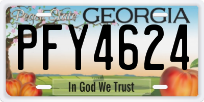 GA license plate PFY4624