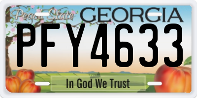 GA license plate PFY4633