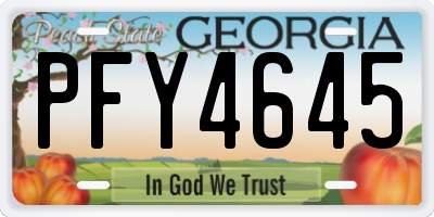 GA license plate PFY4645
