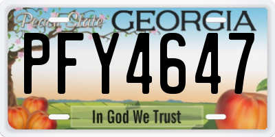 GA license plate PFY4647