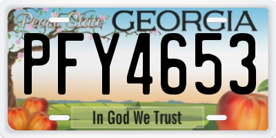 GA license plate PFY4653