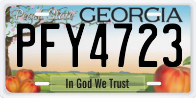 GA license plate PFY4723