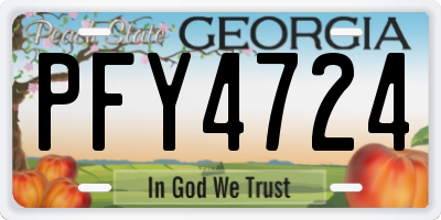 GA license plate PFY4724