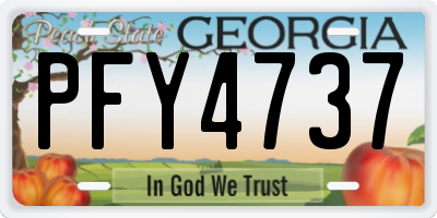 GA license plate PFY4737