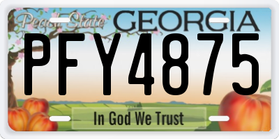 GA license plate PFY4875