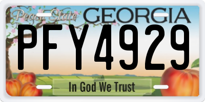 GA license plate PFY4929