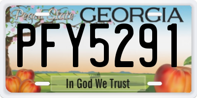 GA license plate PFY5291