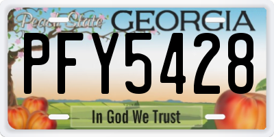 GA license plate PFY5428