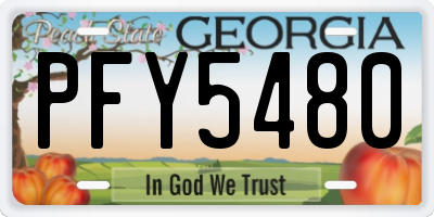 GA license plate PFY5480