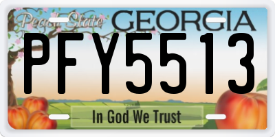 GA license plate PFY5513