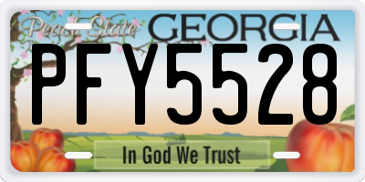 GA license plate PFY5528