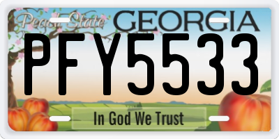 GA license plate PFY5533