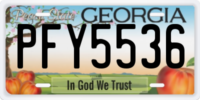 GA license plate PFY5536