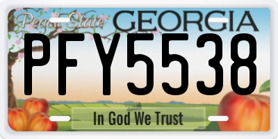 GA license plate PFY5538