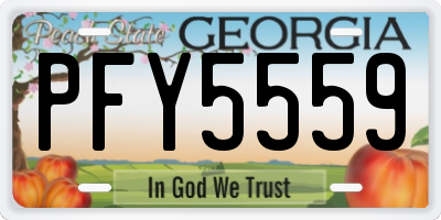 GA license plate PFY5559