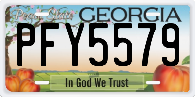 GA license plate PFY5579