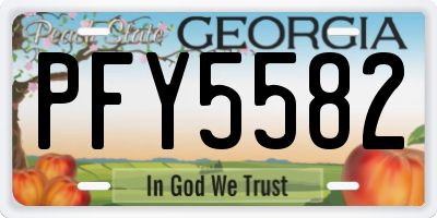 GA license plate PFY5582