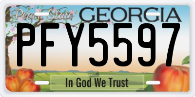 GA license plate PFY5597