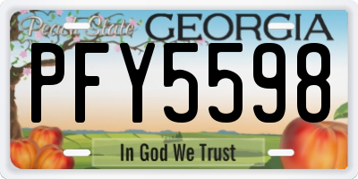 GA license plate PFY5598