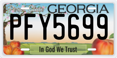 GA license plate PFY5699