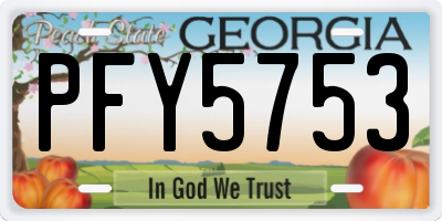 GA license plate PFY5753