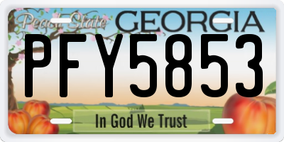 GA license plate PFY5853