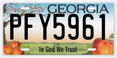 GA license plate PFY5961